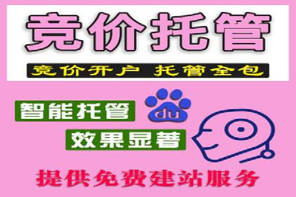 某某sem推广公司案例揭秘：如何精准定位目标用户群体